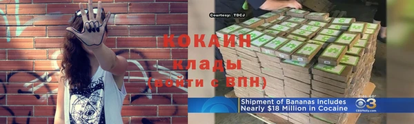 СК Белокуриха