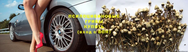 СК Белокуриха